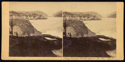Big River Mill vanaf de Pt. door Carleton E. Watkins